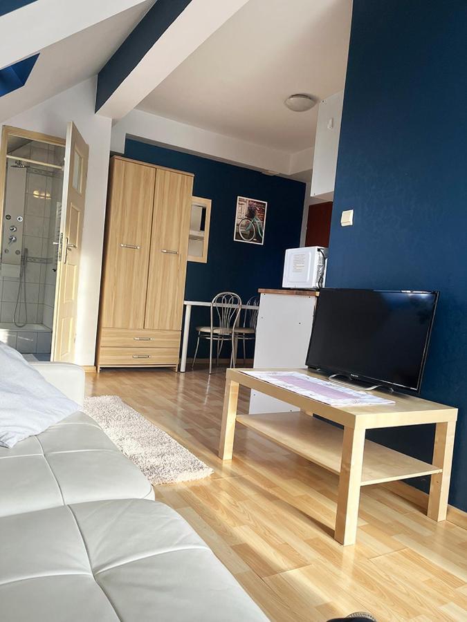 Apartament Maria Kraków Zewnętrze zdjęcie